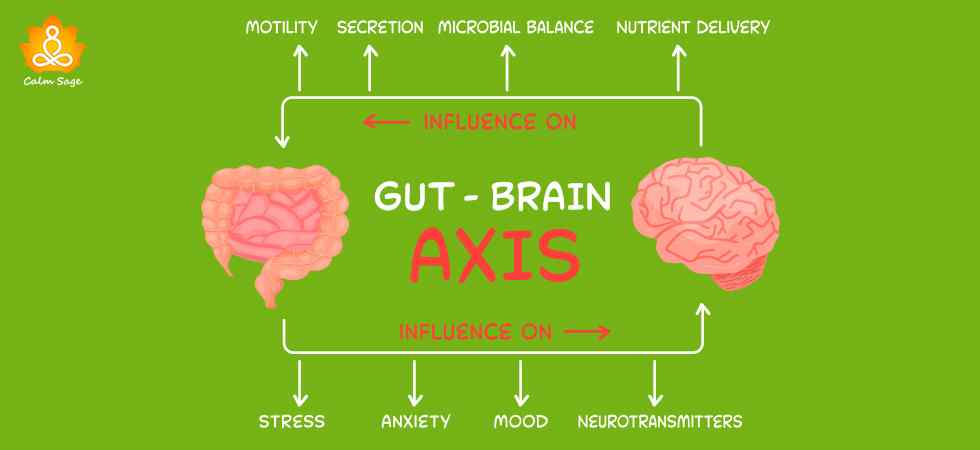Gut - Brain AXIS